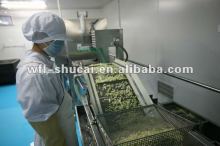 1-3T/h IQF Fruit& Vegetable Processing Line