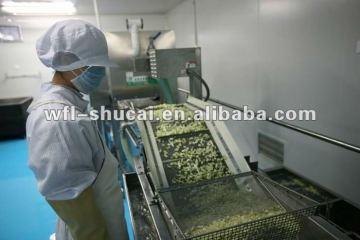 1-3T/h IQF Fruit& Vegetable Processing Line