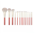2022 New Arrival 12pcs Pink Plastic Handle Makeup Brush Kit OEM & ODM