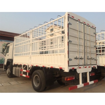 HOWO 4X2 CARGO TRUCK