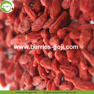 Bán buôn Hàng loạt Vitamin Eu Tiêu chuẩn Goji Berry