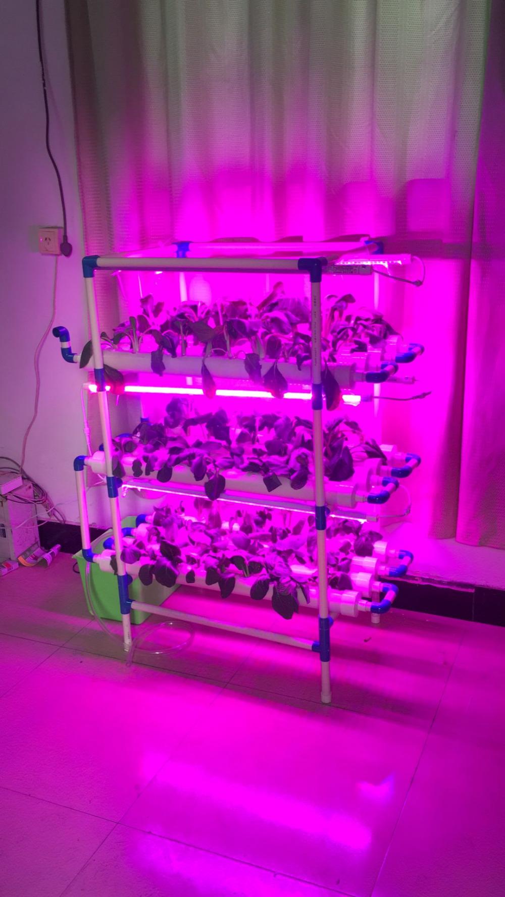 Indoor Hydroponic Vertical System With Led Growing Lights