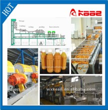 Turnkey orange juice processing line manufactured in Wuxi KAAE