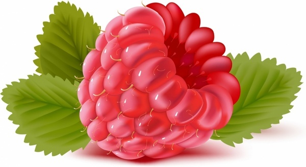 raspberry_311067.jpg