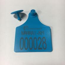 XL size ear tag  for cow