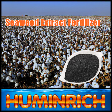 Huminrich Shenyang Water Soluble Promote Growth Sea Weed Extract