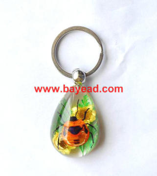 real insect amber keychains,bug keyring,very cool gift