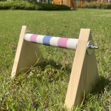 Wholesale Parrot Stand Stick: Natural Sand Pine for Bird Training and Desk Decor