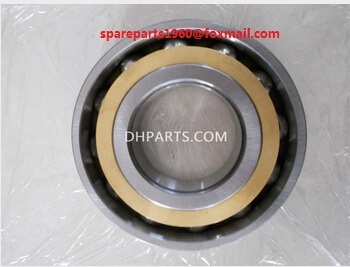 Bearings of XBSY/West Petro Sand Pump