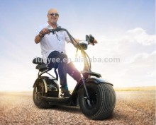 18inch Wide wheel Haley Motorscooter