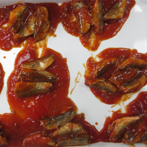 Sardinen-Fischkonserven in Tomaten