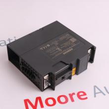 SIEMENS 6DD1610-0AF0 | Buy Now | In Stock