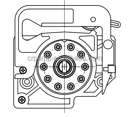 micro flow multichannel DG peristaltic pump head