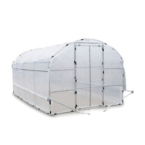 Tunnel PE Flim Greenhouse For Vegetables / Flower