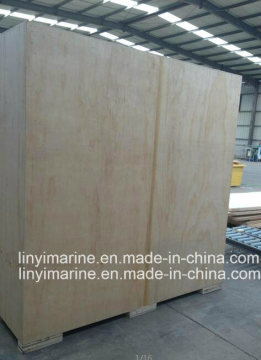 White Birch and Natural Birch Plywood for Packing Usage