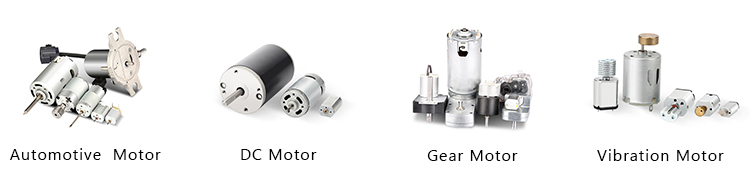 13V DC Micro Motor Air Pump Motor(RS-565)