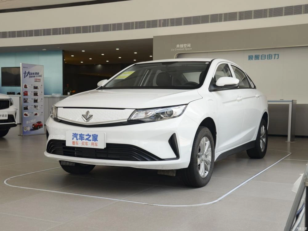 2024 Lantu Free Smart Driving Version Electric Car for Sales - China  Electric Car, Cars