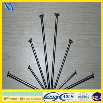 hard steel nails/stainless steel nails/concrete steel nail