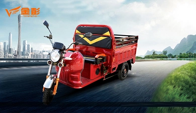 Electric Tricycle EEC Approved 2020 Vehicle Adult Turkey