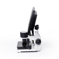 Noninvasive blood capillary microcirculation microscope