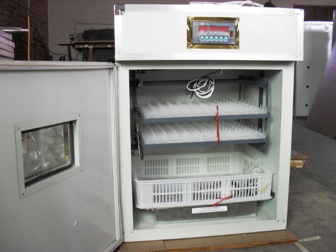 5280 eggs incubator for chicken