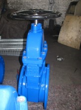 Dn250 Cast Rion Resilient Seat Gate Valve