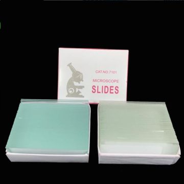 7101 Clear Glass Polished Edges Plain Microscope Slides