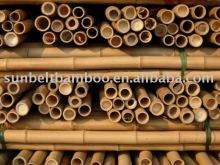 Bamboo pole Sun-025