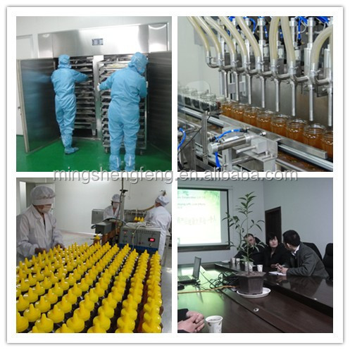 最畅销的养蜂设备 6 架蜂蜜提取器