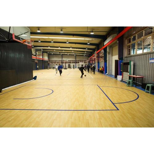 Multifunctioneel basketbalveld voor sportvloeren