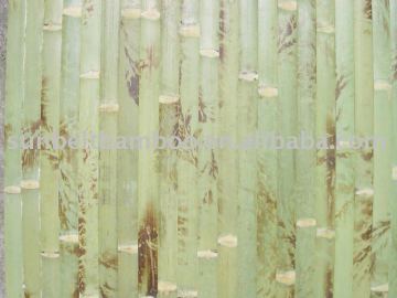 bamboo wallpaper