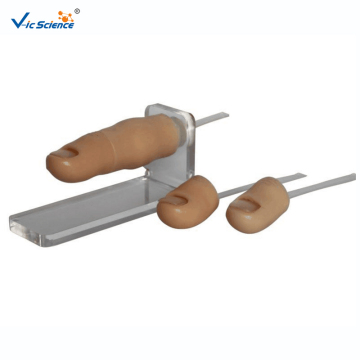 Ingrowing Toenail Trainer Nursing Training Model