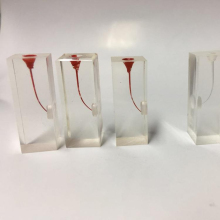 Root Canal Training Blocks for Dental Practice