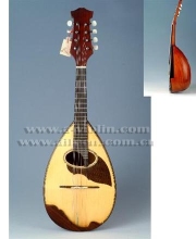 Mandolin-In Magic Series