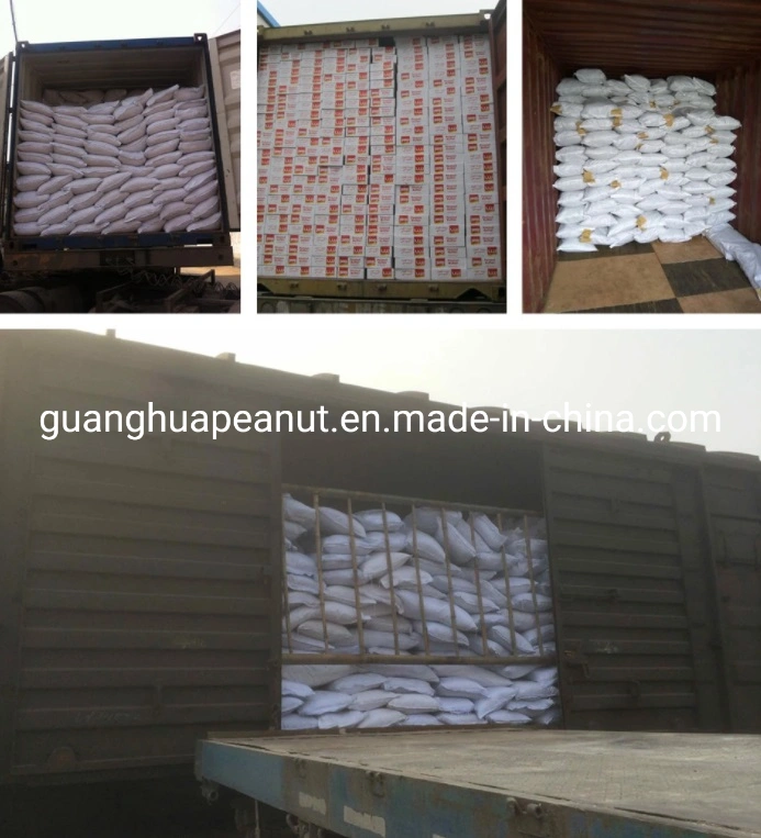 New Crop Roasted Peanut in Shell Exporting Quality From China