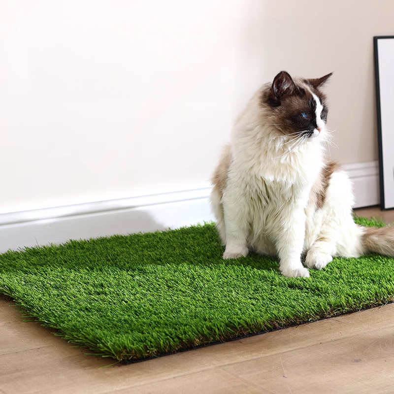 cat artificial grass