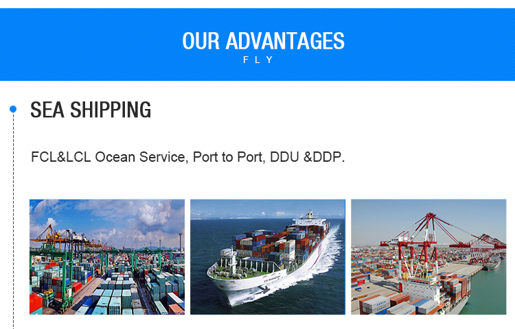 Cheap Sea Freight From China To Guadalajara San Pedro