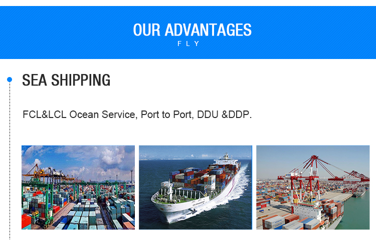 Ningbo Ocean Shipping Cargo Tracking To Usa