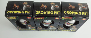 Growing White crack dinosaur eggs