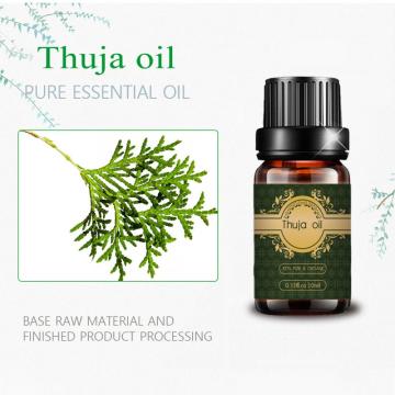 개인 라벨 Pure Thuja 에센셜 오일 스킨 케어