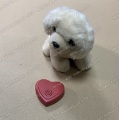 Heartbeat Box for Reborn Doll Pet Toy Plush Toy Amazon Popular Heart Beating Box Pet Toy Simulated Heartbeat Box