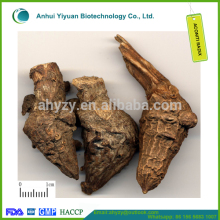 Aconiti Radix Chuanwu