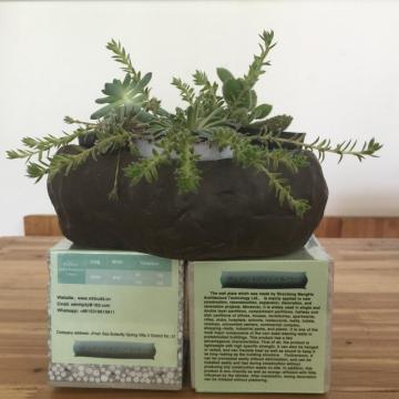 cement composite lightweight wallboard