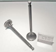 Engine Valves Z170