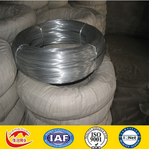 Galvanzied Iron Wire