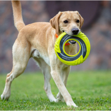 ナイロン生地非有毒な空飛ぶディスク犬のおもちゃ