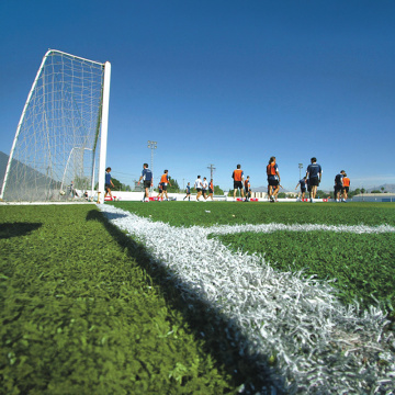 Rumput Buatan Lemari Panjang Sepak Bola