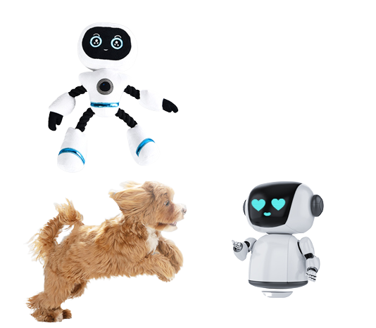 Technology And Fitness Toys For Dogs 6 Png