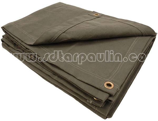 lona canvas