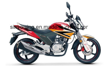 Popular Design Hot Quality Design Motorcycle